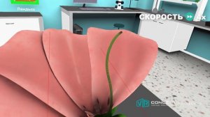 Строение цветка и соцветия - виртуальная биология