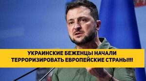 УКРАИНСКИЕ БЕЖЕНЦЫ НАЧАЛИ ТЕРРОРИЗИРОВАТЬ ЕВРОПЕЙСКИЕ СТРАНЫ!!!