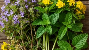 Каждому человеку необходимо знать, что есть три травы, которые снимают воспаление и боль.