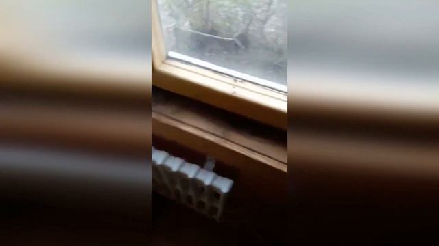 Отопление Дачи за КОПЕЙКИ! Какое Отопление Лучше на Да