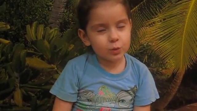 Кошка на заборе пипец смотреть онлайн