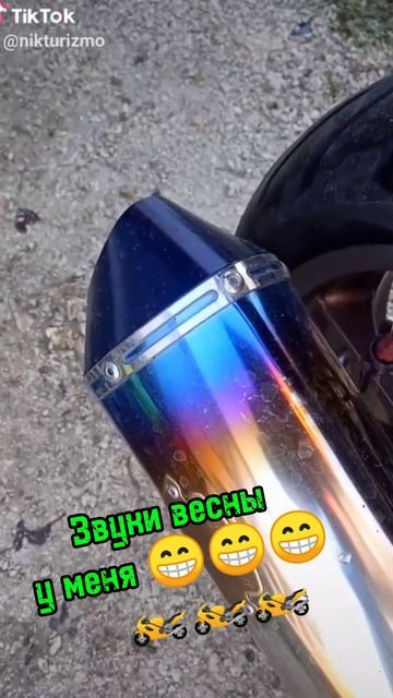 звуки весны