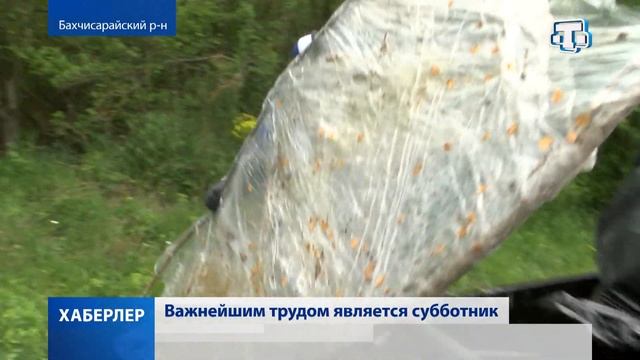 Более 5 тысяч человек приняли участие в акции «Чистый ? смотреть онлайн