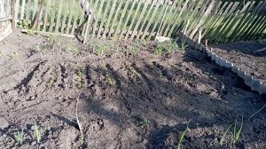 1000029113.mp4  14 мая 2025 года. Наконец-то я купила её.