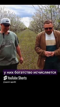 Секретные свойства миндаля