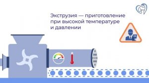 Процесс создания сухого корма