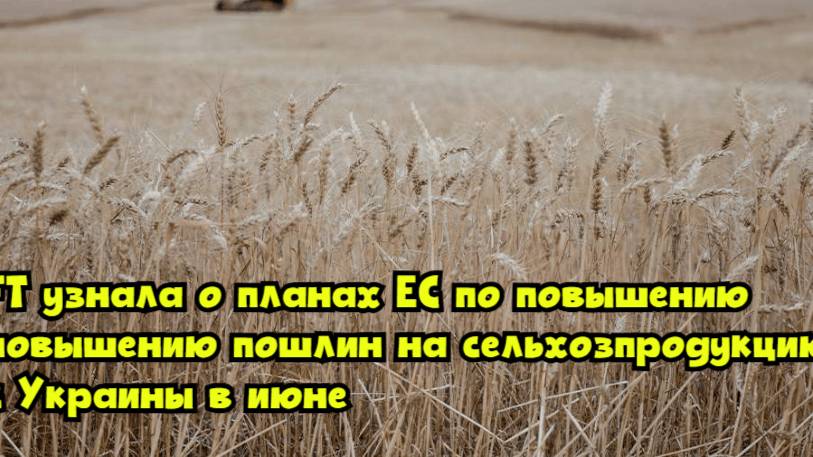 FT узнала о планах ЕС по повышению пошлин на сельхозпродукцию с Украины в июне