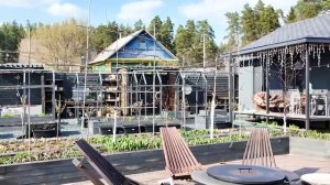ОБЗОР КРАСИВОГО УЧАСТКА ПОЛ ГЕКТАРА В ДЕРЕВНЕ