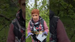 Как бороться с ПЛОДОЖОРКОЙ?