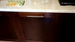 Встраиваемая посудомоечная машина 60 см  Thomson DB 30J52i сбо?