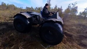 болотная линза