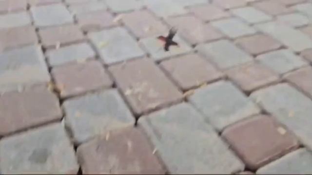 Брусчатка производства 4ГРАНИ #благоустройство  #моще?