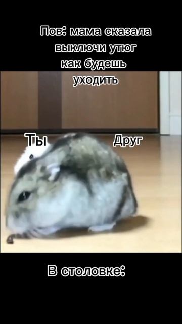 Актив начал падать#shortvideo #хочувтренды #подпишись #мем # смотреть онлайн