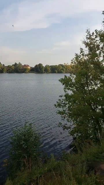 АЭРОПОРТ ЖУКОВСКИЙ 12.08.2023 смотреть онлайн