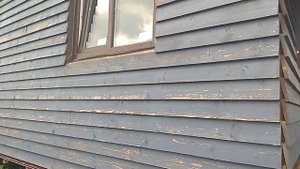 Не покупай фасадную краску Husky Siberian пока не посмотришь