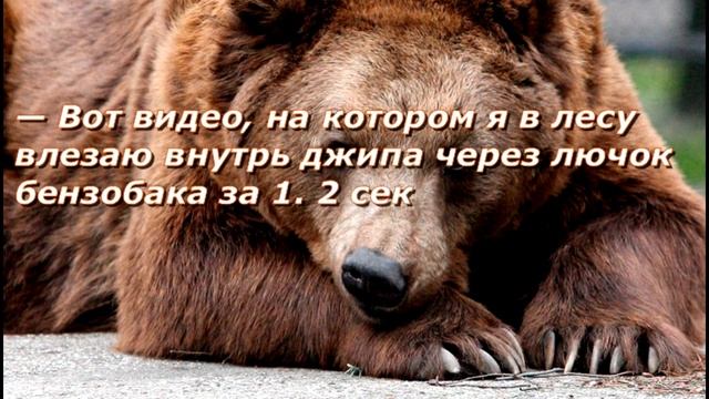 Анекдот Юмор Рекорд в лесу смотреть онлайн