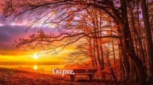 Тютчев Ф.И. Листья (Пусть сосны и ели...).