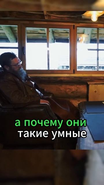 Стерлигов про умных евреев смотреть онлайн