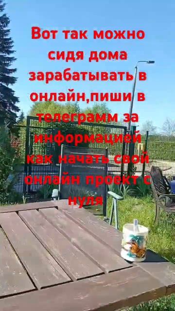 Сиди дома и зарабатывай на онлайн #онлайнбизнес #прибы смотреть онлайн