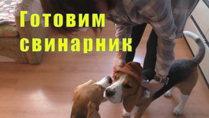 ПО КОФЕЙКУ И В СВЕТОФОР/ ГОТОВИМ СВИНАРНИК/ 10 мая 2025