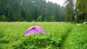 Сплав по р. Мана, Красноярский край. Пейзажи. Третий (и последний) день сплава. 08 июля 2007 г.