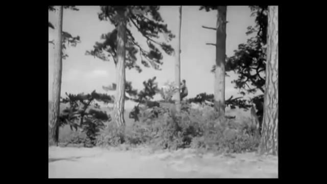 адреналин раш смотреть онлайн