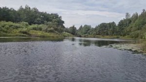 Рыбалка в Псковской области. Нетронутая человеком при