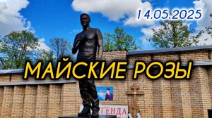 они будут всегда: живые белые розы на могиле Юрия Шатунова / Троекуровское кладбище 14 мая 2025 г.
