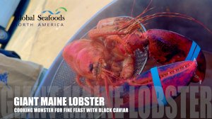 🦞 Готовим живого омара из штата Мэн — часть ужина на несколько тысяч долларов