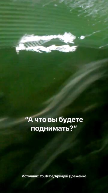 Разводилы московские! Из-за этого у рыбоводов никто не покупает рыбу... #рыба #бизнес #узв #осетр смотреть онлайн