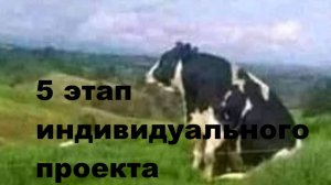 Проект 5 этап