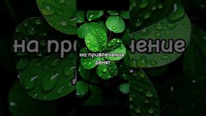 Значение зелёных свечей в магии. Свечи 1768455564 (озон)  #св