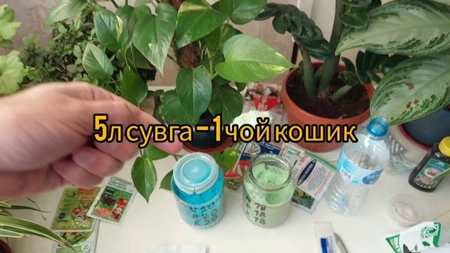 ГУЛЛАР УЧУН ОЗУҚАНИ ТЎҒРИ ЎЛЧАШ. Кемира Люкс озуқасин?