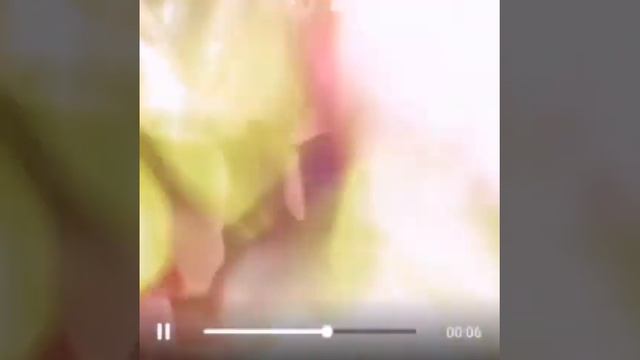 Магазин Спарта в Сергиевом Посаде смотреть онлайн