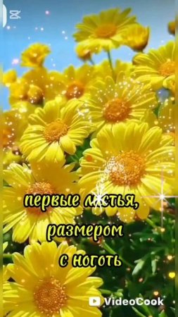 утро!