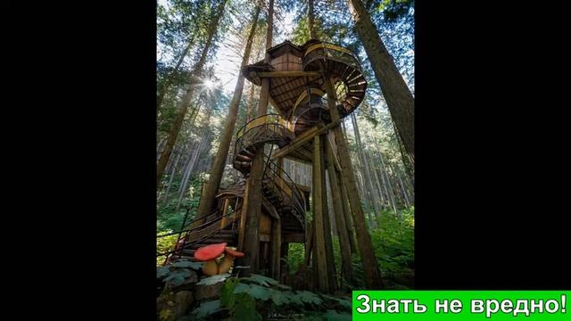 Выбираем дома кто, где бы хотел пожить Прикольные и смешные дома  Маленькие и ко