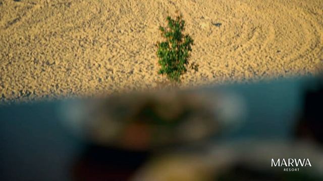 Крупнейший отель "Marwa Resort" на Северном Кавказе в г. Маха смотреть онлайн