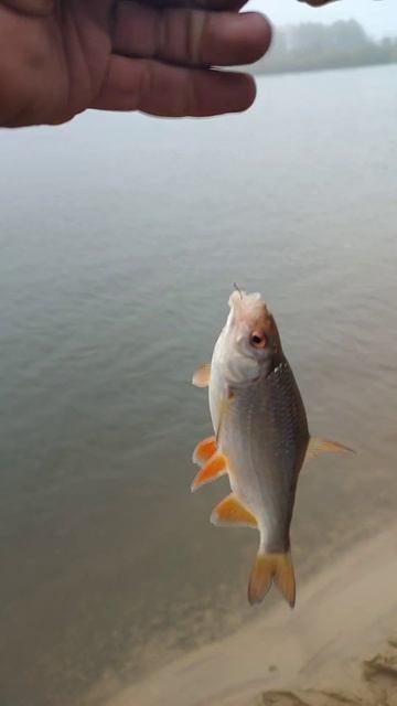 Последние теплые деньки 2024 с пользой для здоровья!!! #р? смотреть онлайн