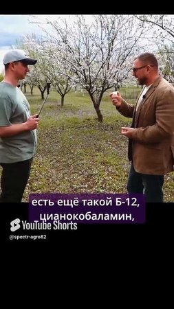 Как работает горький миндаль?
