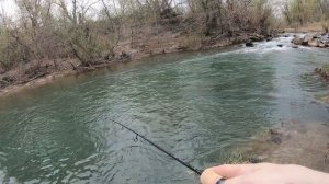 ПЕРВАЯ РЫБАЛКА С MAXIMUS BANKAI🎣👀🍀