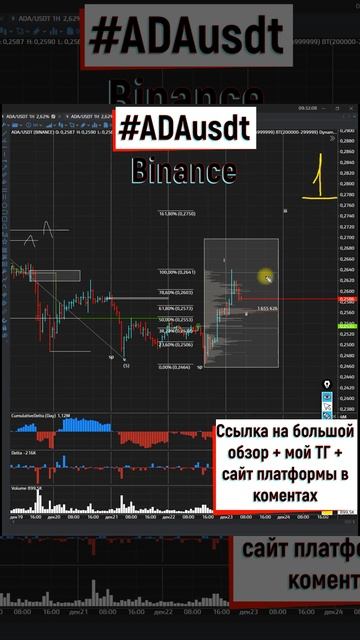 Кардано имеет очень большой потенциал к росту 23 12 2022
