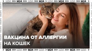 Вакцину от аллергии на кошек скоро протестируют на людях - Москва 24