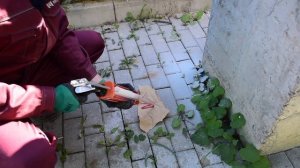 Как работать с химическим анкером. Двухкомпонентный, ?