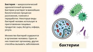 Окружающий мир. Царства живой природы
