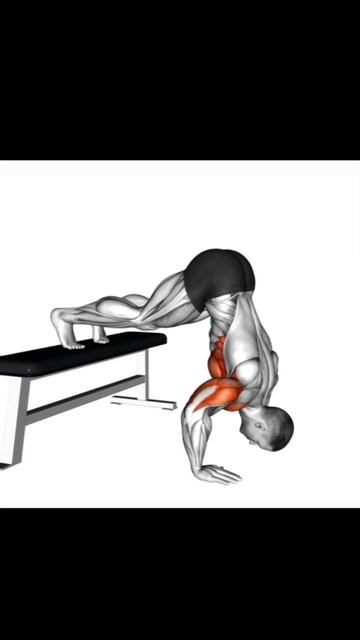 Качаем грудь дома. #фитнес #aesthetic #спорт #sports смотреть онлайн