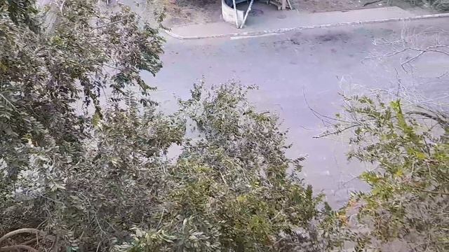 Астрахань, ул.Н.Ветошникова, конечная. Мотохулиганы вышли на очередной заезд, 05.08.2024 г. смотреть онлайн