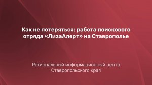 Как не потеряться: работа поискового отряда «ЛизаАлерт» на Ставрополье