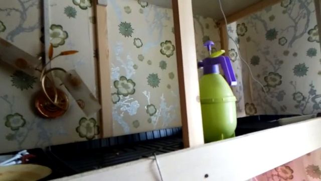 Мои цветы 2020 начало смотреть онлайн