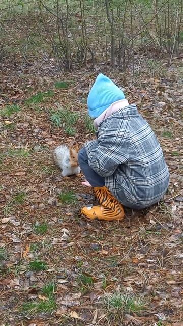 Белка виляет хвостом, как собачка. Когда хочет есть! смотреть онлайн