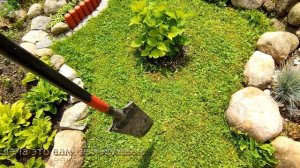 Расширяем  свою  красоту-Барбарис- Багатель!